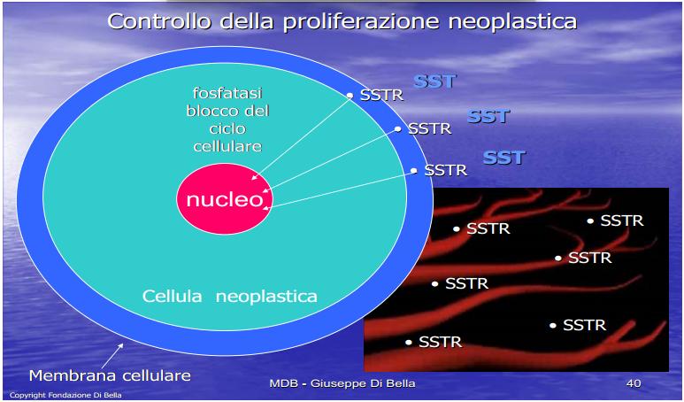 controllo-prolif.-neoplastica-1.jpg