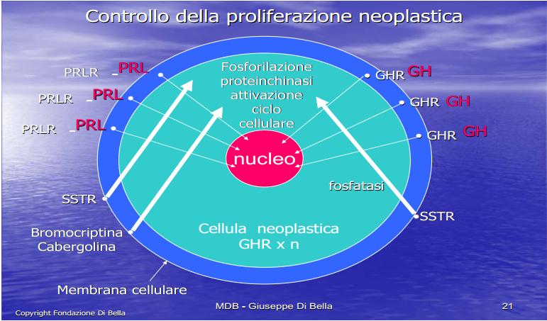 controllo-prolif.-neoplastica.jpg