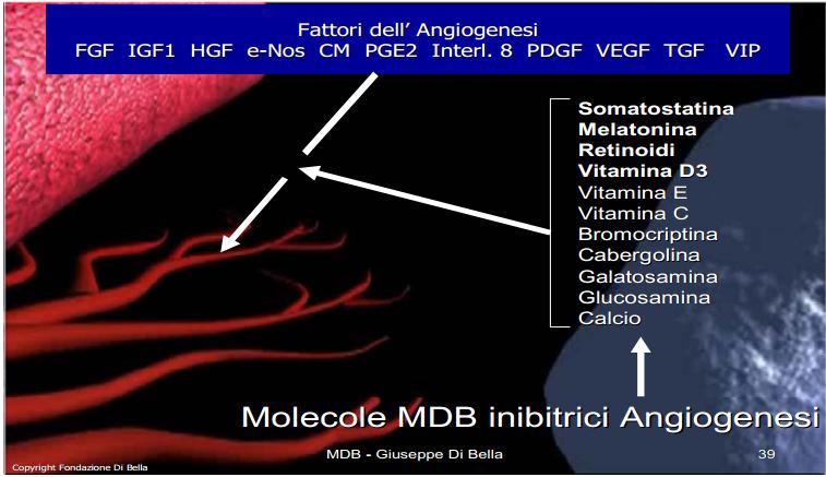 fattori-dell-angiogenesi.jpg