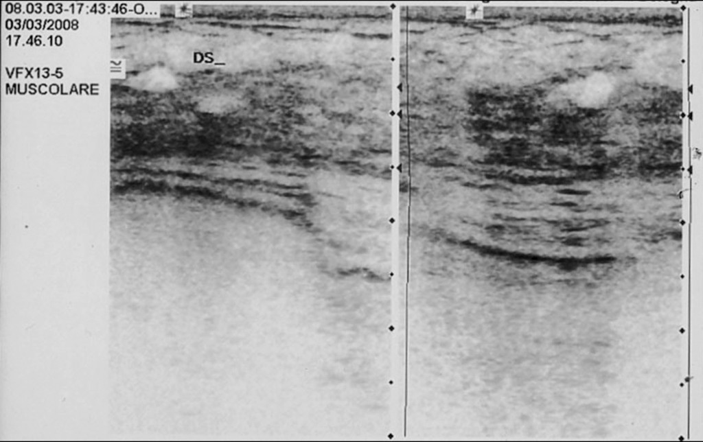 nel-k-seno-12.jpg