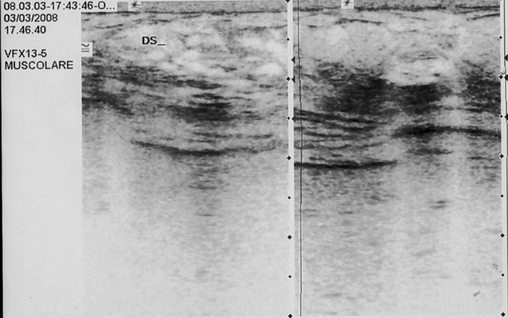 nel-k-seno-13.jpg